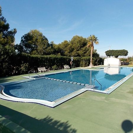 Apartmán Corinto 2428 La Mata  Pokoj fotografie